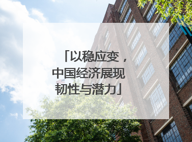 以稳应变，中国经济展现韧性与潜力