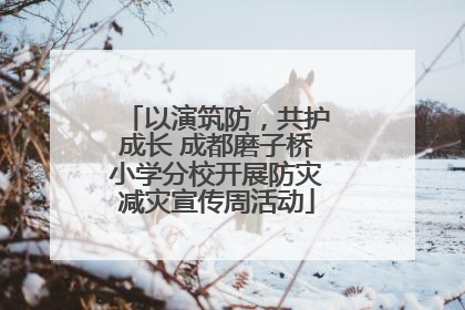 以演筑防，共护成长 成都磨子桥小学分校开展防灾减灾宣传周活动