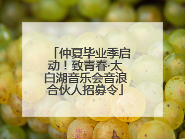 仲夏毕业季启动！致青春·太白湖音乐会音浪合伙人招募令