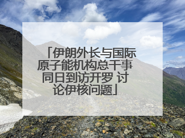 伊朗外长与国际原子能机构总干事同日到访开罗 讨论伊核问题