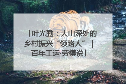 叶光勤：大山深处的乡村振兴“领路人”｜百年工运·劳模说