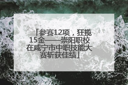 参赛12项，狂揽15金——崇阳职校在咸宁市中职技能大赛斩获佳绩