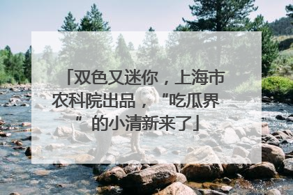 双色又迷你，上海市农科院出品，“吃瓜界”的小清新来了