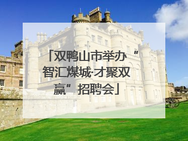 双鸭山市举办“智汇煤城·才聚双赢”招聘会