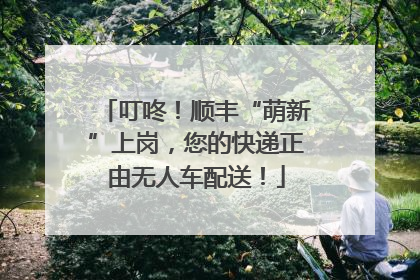 叮咚！顺丰“萌新”上岗，您的快递正由无人车配送！