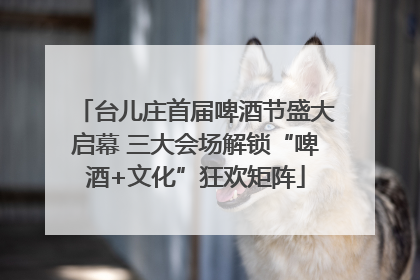 台儿庄首届啤酒节盛大启幕 三大会场解锁“啤酒+文化”狂欢矩阵
