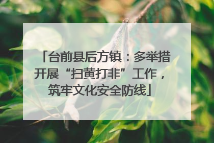 台前县后方镇：多举措开展“扫黄打非”工作，筑牢文化安全防线