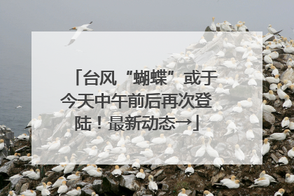 台风“蝴蝶”或于今天中午前后再次登陆！最新动态→