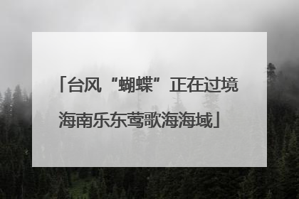 台风“蝴蝶”正在过境海南乐东莺歌海海域