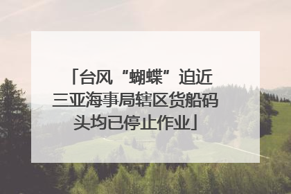台风“蝴蝶”迫近 三亚海事局辖区货船码头均已停止作业