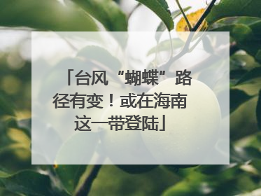 台风“蝴蝶”路径有变！或在海南这一带登陆