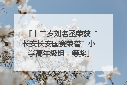 十二岁刘名丞荣获“长安长安国赛荣誉”小学高年级组一等奖