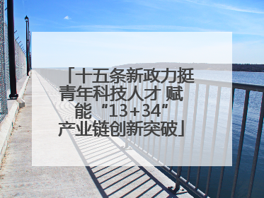 十五条新政力挺青年科技人才 赋能“13+34”产业链创新突破