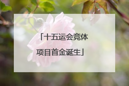十五运会竞体项目首金诞生