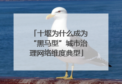 十堰为什么成为“黑马型”城市治理网络维度典型