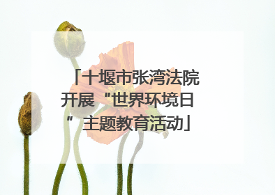 十堰市张湾法院开展“世界环境日”主题教育活动