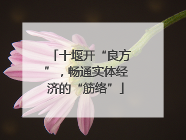 十堰开“良方”，畅通实体经济的“筋络”
