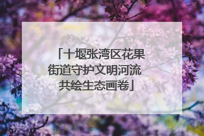 十堰张湾区花果街道守护文明河流 共绘生态画卷