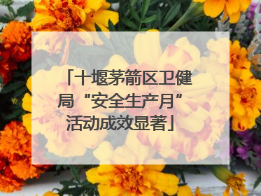 十堰茅箭区卫健局“安全生产月”活动成效显著