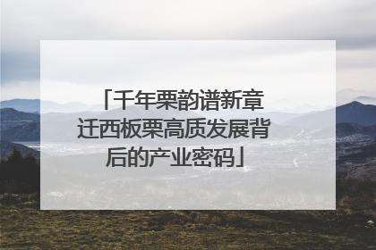 千年栗韵谱新章 迁西板栗高质发展背后的产业密码
