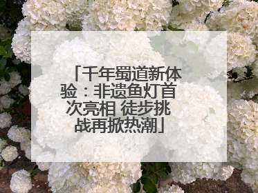 千年蜀道新体验：非遗鱼灯首次亮相 徒步挑战再掀热潮