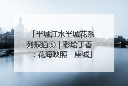 半城江水半城花系列报道⑤｜彩绘丁香：花海映照一座城