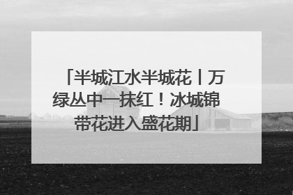 半城江水半城花丨万绿丛中一抹红！冰城锦带花进入盛花期