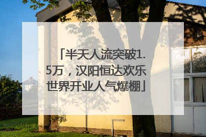 半天人流突破1.5万，汉阳恒达欢乐世界开业人气爆棚