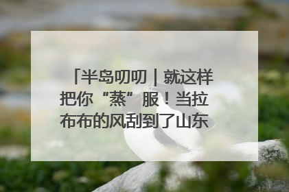 半岛叨叨｜就这样把你“蒸”服！当拉布布的风刮到了山东馒头界……