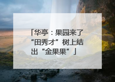 华亭：果园来了“田秀才”树上结出“金果果”