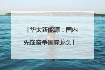 华太新能源：国内先锋奋争国际龙头