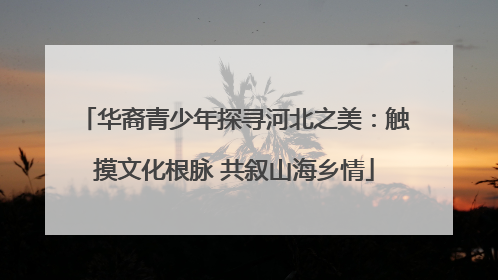 华裔青少年探寻河北之美：触摸文化根脉 共叙山海乡情
