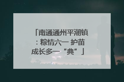 南通通州平潮镇：粽情六一 护苗成长多一“典”