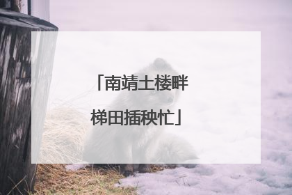 南靖土楼畔 梯田插秧忙