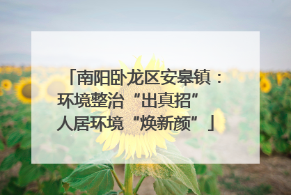 南阳卧龙区安皋镇：环境整治“出真招” 人居环境“焕新颜”