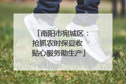 南阳市宛城区：抢抓农时保夏收 贴心服务助生产