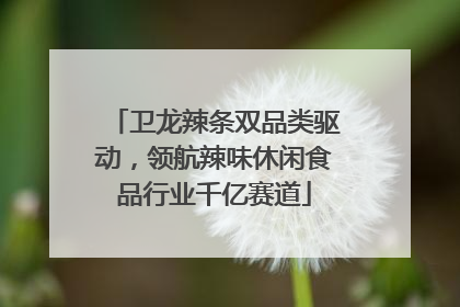 卫龙辣条双品类驱动，领航辣味休闲食品行业千亿赛道