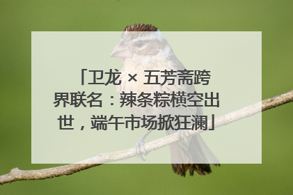 卫龙 × 五芳斋跨界联名：辣条粽横空出世，端午市场掀狂澜