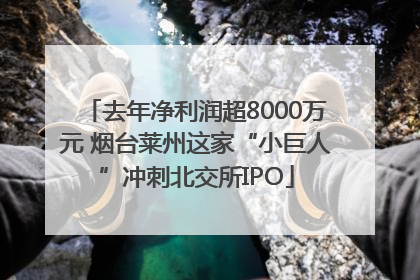 去年净利润超8000万元 烟台莱州这家“小巨人”冲刺北交所IPO