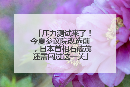 压力测试来了！今夏参议院改选前，日本首相石破茂还需闯过这一关