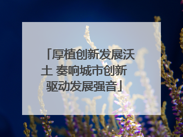 厚植创新发展沃土 奏响城市创新驱动发展强音