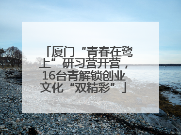厦门“青春在鹭上”研习营开营，16台青解锁创业文化“双精彩”
