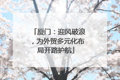 厦门：迎风破浪，为外贸多元化布局开路护航