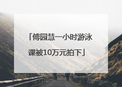 傅园慧一小时游泳课被10万元拍下