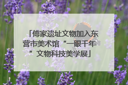 傅家遗址文物加入东营市美术馆“一眼千年”文物科技美学展