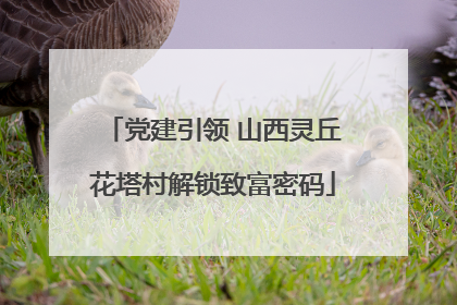 党建引领 山西灵丘花塔村解锁致富密码