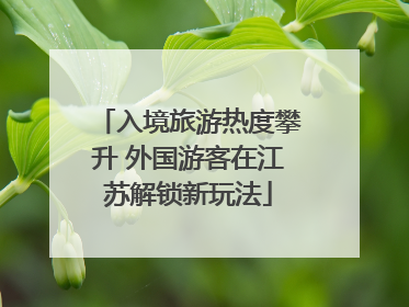入境旅游热度攀升 外国游客在江苏解锁新玩法