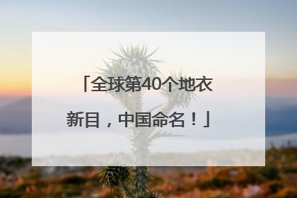 全球第40个地衣新目，中国命名！