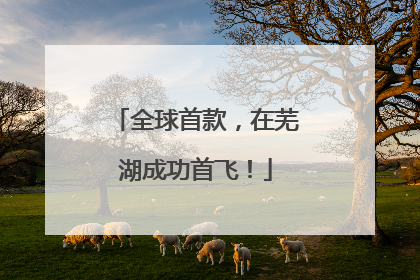 全球首款，在芜湖成功首飞！