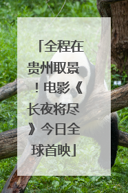全程在贵州取景！电影《长夜将尽》今日全球首映